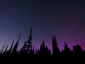 Uinta-Wasatch-Cache National Forest