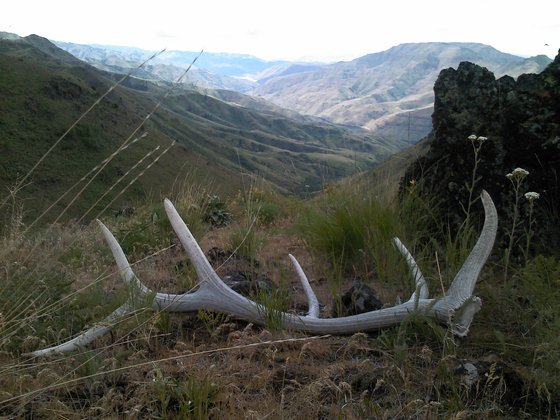 Hells Canyon National Recreation Area
