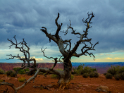 Canyonlands National Park