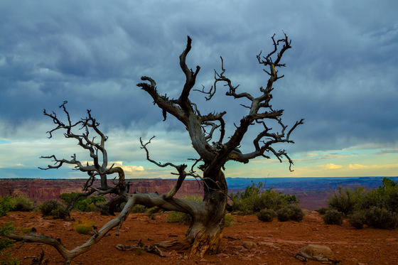Canyonlands National Park