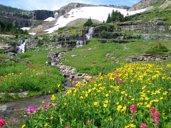 Glacier Park