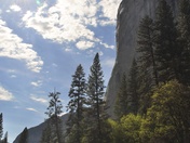 Yosemite National Park