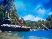 Coconino National Forest: Blue Ridge Reservoir