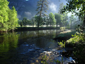 Yosemite National Park