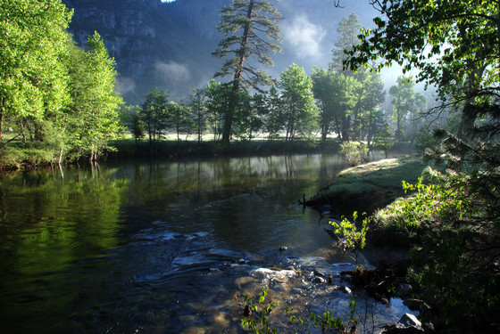 Yosemite National Park