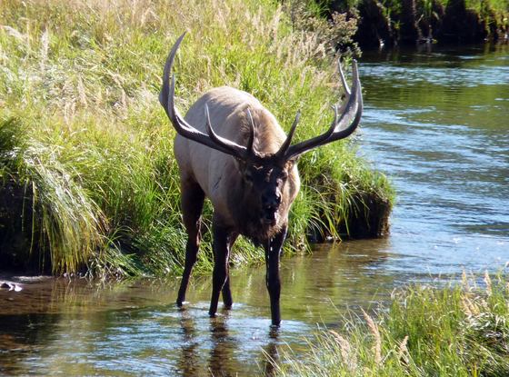 Rocky Mountain National Park