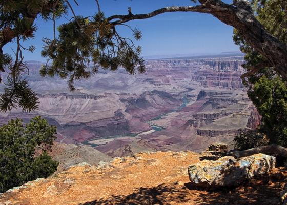 Grand Canyon