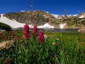 Indian Peaks Wilderness