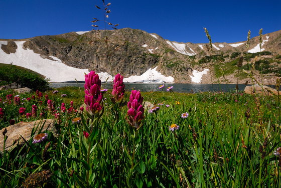 Indian Peaks Wilderness