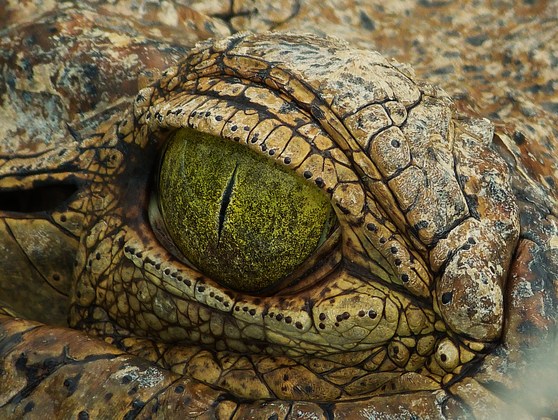 Everglades National Park