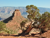 Grand Canyon National Park