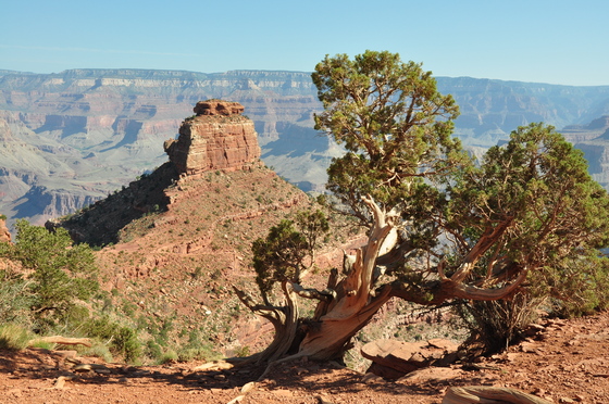 Grand Canyon National Park
