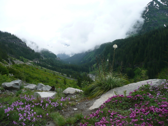 Mount Rainier National Park, Washington