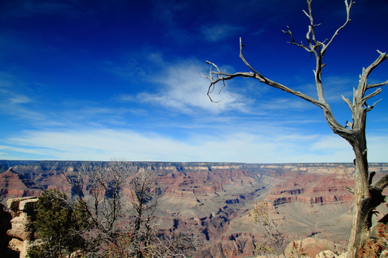 Grand Canyon