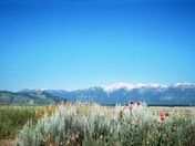 Grand Teton NP