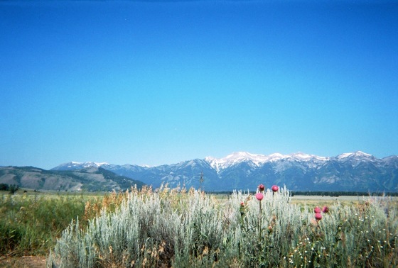Grand Teton NP