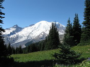 Mt. Rainier National Park