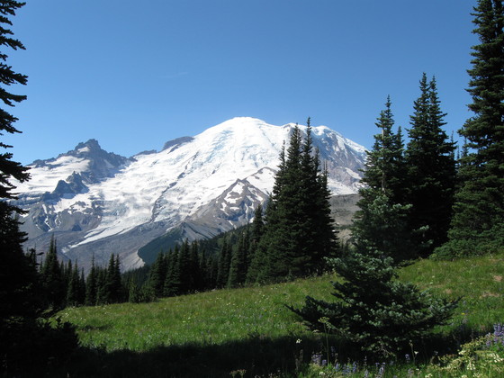 Mt. Rainier National Park