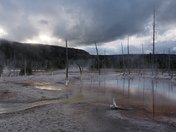 Yellowstone National Park