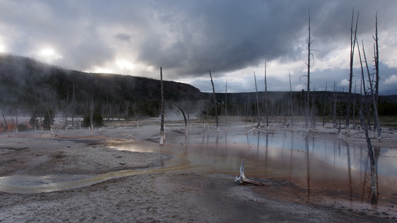 Yellowstone National Park