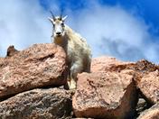Mt. Evans Recreation Area