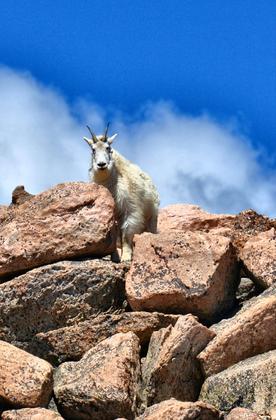 Mt. Evans Recreation Area
