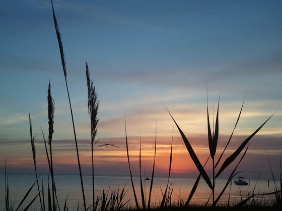 Chesapeake Bay