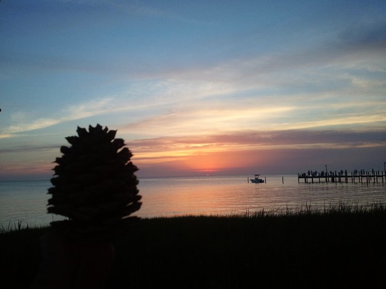 Chesapeake Bay