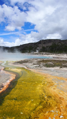 Yellowstone National Park