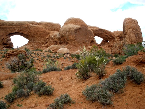 Arches National Park