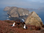 Channel Islands National Park
