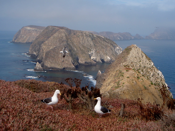 Channel Islands National Park