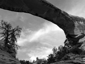 Natural Bridges National Monument