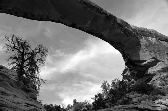 Natural Bridges National Monument