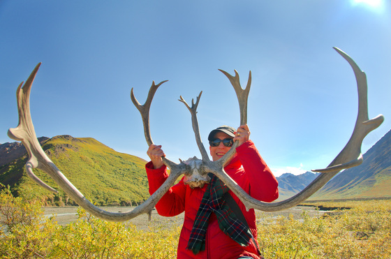Denali National Park