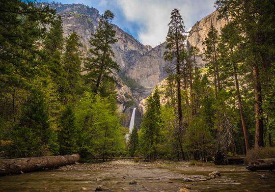 Yosemite National Park