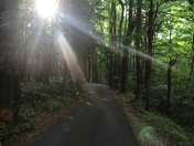 Great Smokey Mountains