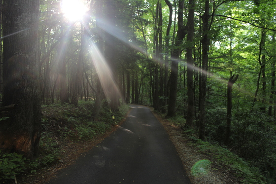 Great Smokey Mountains