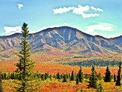 Denali National Park