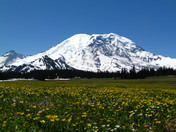 Mount Rainier National Park