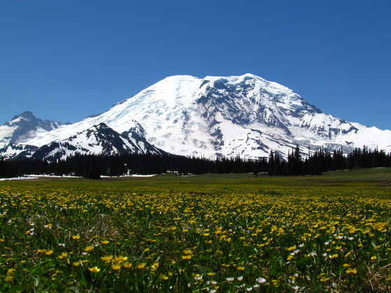 Mount Rainier National Park
