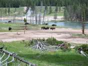 Yellowstone National Park