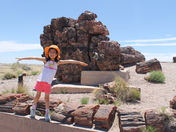 Petrified Forest National Park 