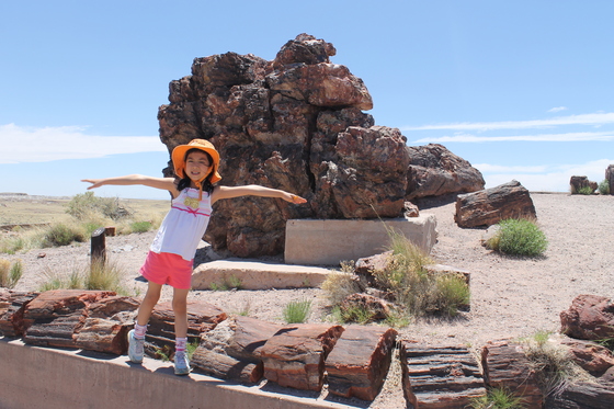Petrified Forest National Park 