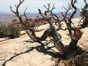 Arches National Park