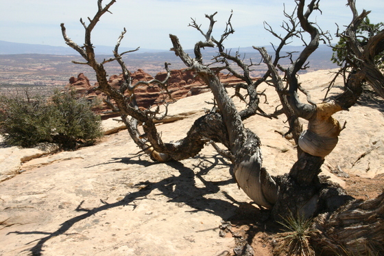 Arches National Park