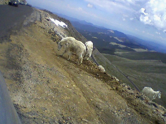 Mount Evans Wilderness Area