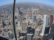Toronto Skyline
