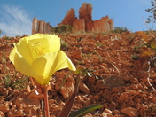 Bryce Canyon National Park