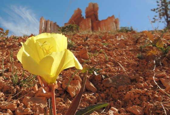 Bryce Canyon National Park